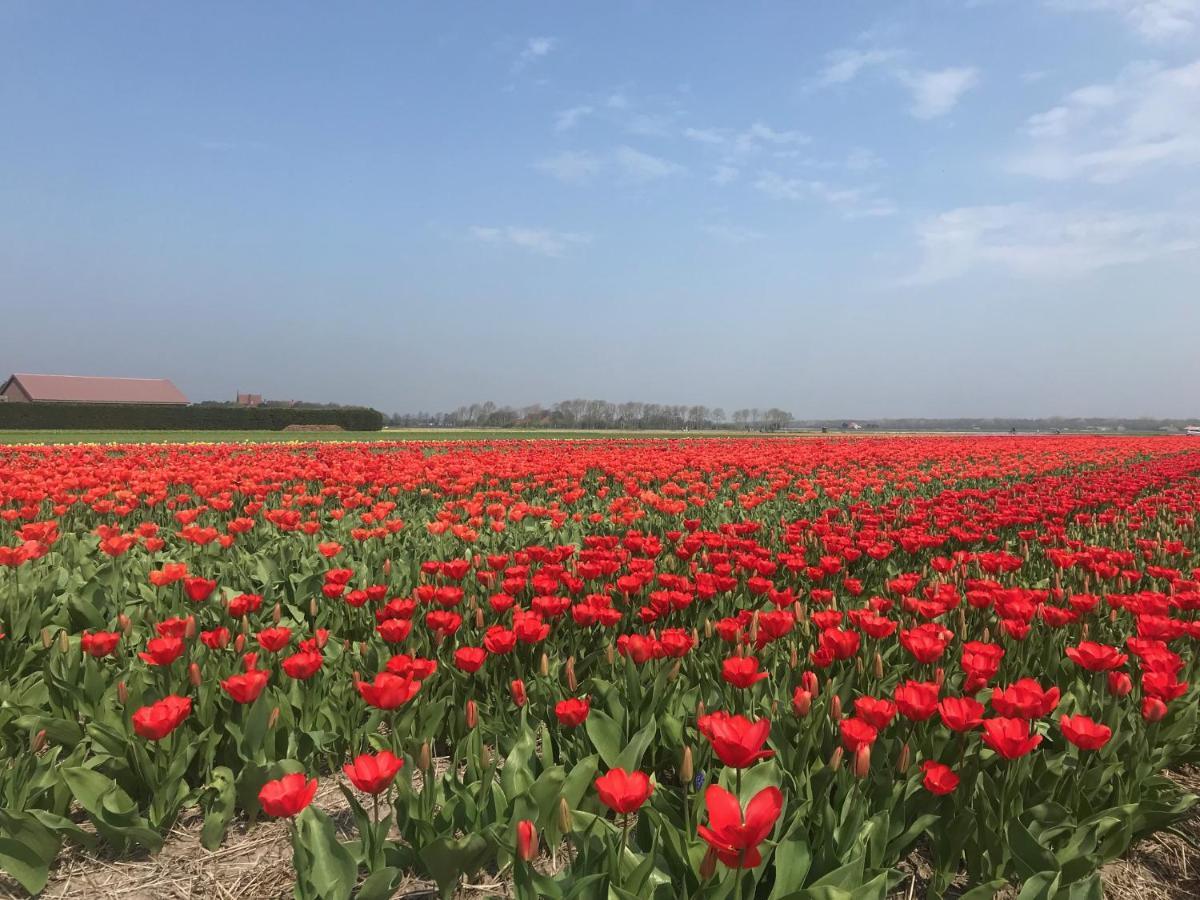 Vakantiewoning Skuur ベルゲン エクステリア 写真